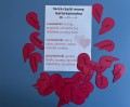 IMG_4937.jpeg