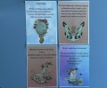 IMG_5381.jpeg