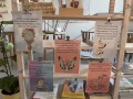 IMG_5384.jpeg