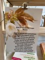 IMG_5433.jpeg