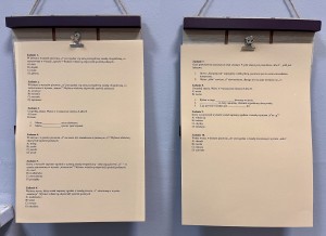 Zadania egzaminacyjne - ortografia