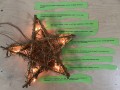 IMG_2628.jpeg
