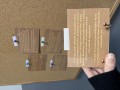 IMG_3285.jpeg