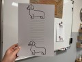 IMG_3462.jpeg