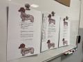 IMG_3457.jpeg