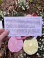 IMG_3955.jpeg