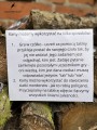 IMG_4763.JPEG