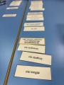 IMG_0126.jpeg