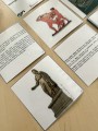 IMG_5286.jpeg