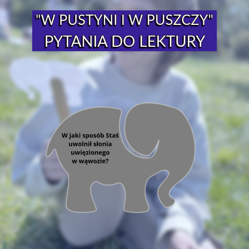 Bez nazwy - 08 sierpnia 2026 o 11.28.17-18.png