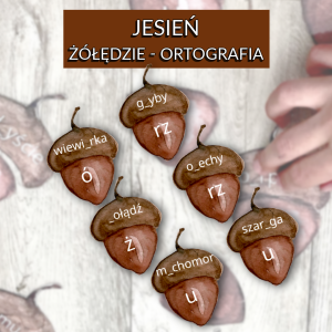 Jesień - żółędzie - ortografia