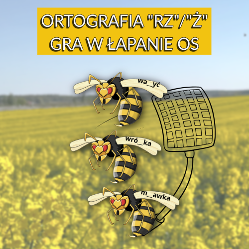 Bez nazwy - 08 sierpnia 2026 o 11.28.17-60.png