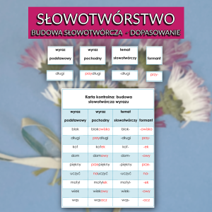 Budowa słowotwórcza wyrazu - dopasowanie - tabela