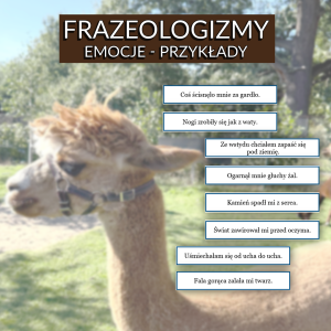 Frazeologizmy - emocje - przykłady