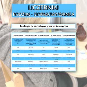 Liczebniki - podział - dopasowywanka