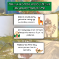 Bez nazwy - 08 sierpnia 2026 o 11.28.17-94-kopia 2.png