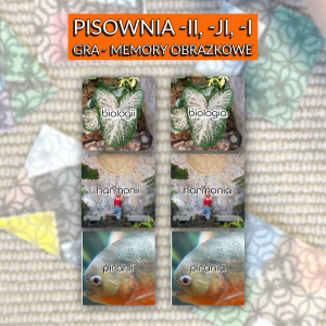 Memory obrazkowe - pisownia -ii, -ji, -i