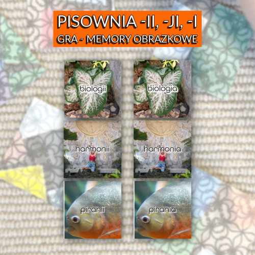 Bez nazwy - 08 sierpnia 2026 o 11.28.17-91-kopia 3.png